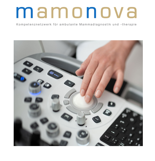 Link zum Mamonova Kompetenz Netzwerk